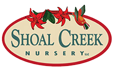 Logo of Shoal Creek Nursery in Austin, Texas